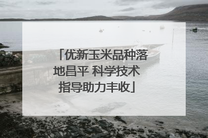 优新玉米品种落地昌平 科学技术指导助力丰收
