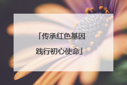 传承红色基因 践行初心使命