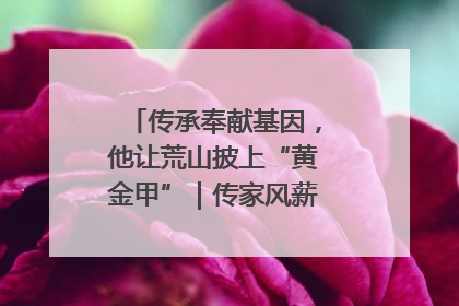 传承奉献基因，他让荒山披上“黄金甲”｜传家风薪火 颂家国情深