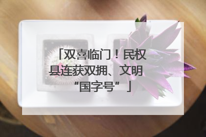 双喜临门！民权县连获双拥、文明“国字号”
