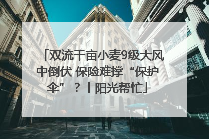 双流千亩小麦9级大风中倒伏 保险难撑“保护伞”？丨阳光帮忙