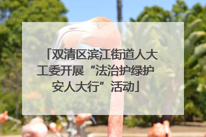 双清区滨江街道人大工委开展“法治护绿护安人大行”活动