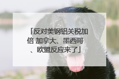 反对美钢铝关税加倍 加拿大、墨西哥、欧盟反应来了