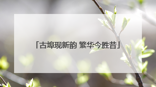 古埠现新韵 繁华今胜昔