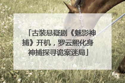 古装悬疑剧《魅影神捕》开机，罗云熙化身神捕探寻诡案迷局