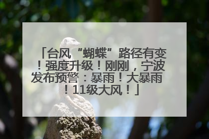 台风“蝴蝶”路径有变！强度升级！刚刚，宁波发布预警：暴雨！大暴雨！11级大风！