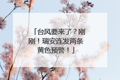 台风要来了？刚刚！瑞安连发两条黄色预警！