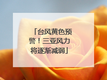 台风黄色预警！三亚风力将逐渐减弱