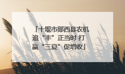 十堰市郧西县农机追“丰”正当时 打赢“三夏”促增收