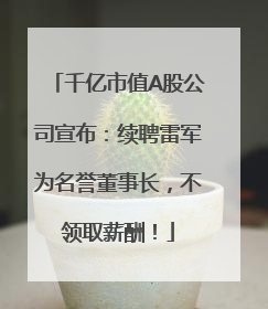千亿市值A股公司宣布：续聘雷军为名誉董事长，不领取薪酬！