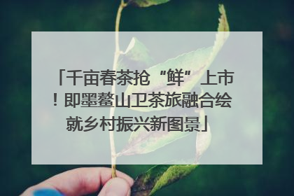 千亩春茶抢“鲜”上市！即墨鳌山卫茶旅融合绘就乡村振兴新图景