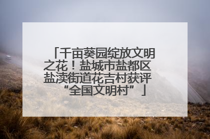 千亩葵园绽放文明之花！盐城市盐都区盐渎街道花吉村获评“全国文明村”