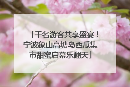 千名游客共享盛宴！宁波象山高塘岛西瓜集市甜蜜启幕乐翻天