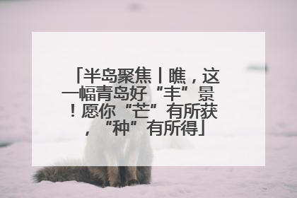 半岛聚焦丨瞧，这一幅青岛好“丰”景！愿你“芒”有所获，“种”有所得