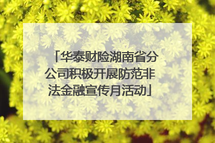 华泰财险湖南省分公司积极开展防范非法金融宣传月活动