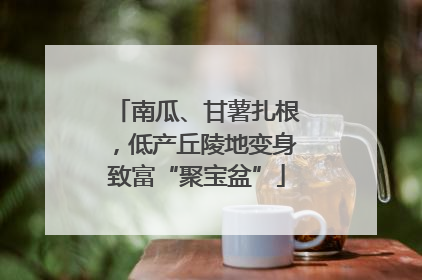 南瓜、甘薯扎根，低产丘陵地变身致富“聚宝盆”