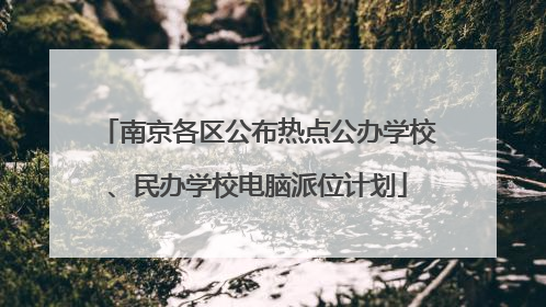 南京各区公布热点公办学校、民办学校电脑派位计划