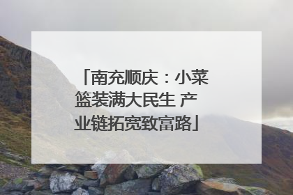 南充顺庆：小菜篮装满大民生 产业链拓宽致富路