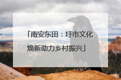 南安东田：圩市文化焕新助力乡村振兴