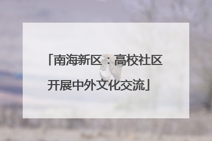 南海新区：高校社区开展中外文化交流