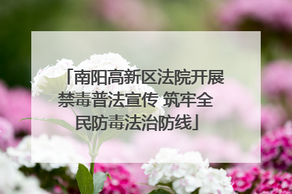 南阳高新区法院开展禁毒普法宣传 筑牢全民防毒法治防线