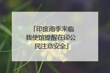 印度雨季来临 我使馆提醒在印公民注意安全