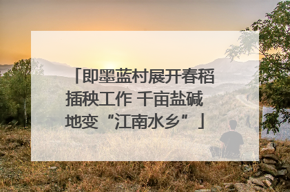即墨蓝村展开春稻插秧工作 千亩盐碱地变“江南水乡”