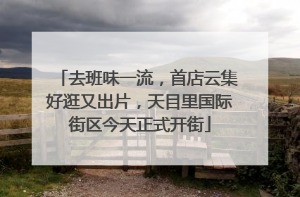 去班味一流，首店云集好逛又出片，天目里国际街区今天正式开街