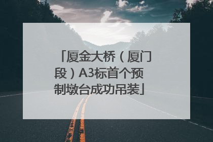厦金大桥（厦门段）A3标首个预制墩台成功吊装