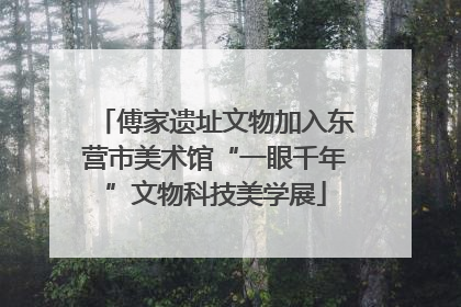 傅家遗址文物加入东营市美术馆“一眼千年”文物科技美学展