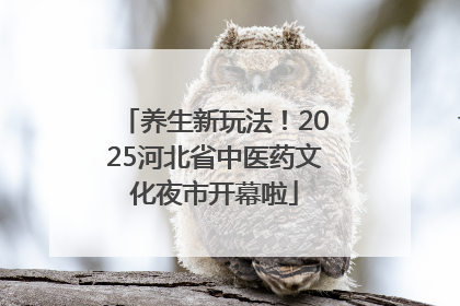 养生新玩法！2025河北省中医药文化夜市开幕啦