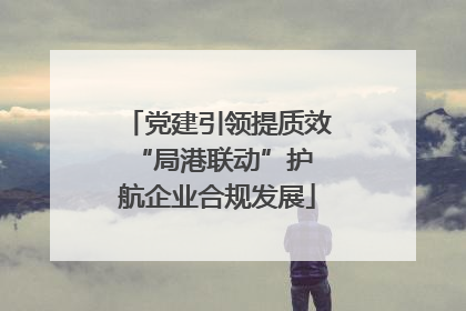 党建引领提质效 “局港联动”护航企业合规发展