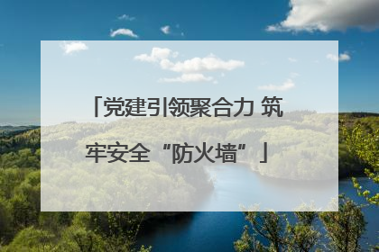 党建引领聚合力 筑牢安全“防火墙”