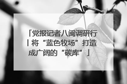 党报记者八闽调研行丨将“蓝色牧场”打造成广阔的“碳库”