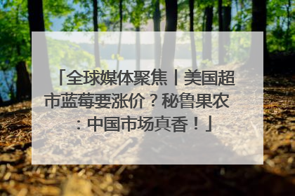 全球媒体聚焦丨美国超市蓝莓要涨价？秘鲁果农：中国市场真香！