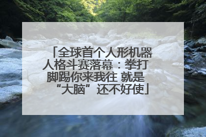 全球首个人形机器人格斗赛落幕：拳打脚踢你来我往 就是“大脑”还不好使