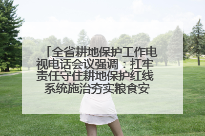 全省耕地保护工作电视电话会议强调：扛牢责任守住耕地保护红线 系统施治夯实粮食安全根基 王宁作出批示 王予波出席并讲话