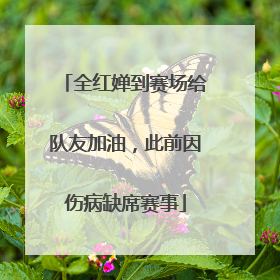 全红婵到赛场给队友加油，此前因伤病缺席赛事
