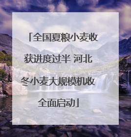 全国夏粮小麦收获进度过半 河北冬小麦大规模机收全面启动
