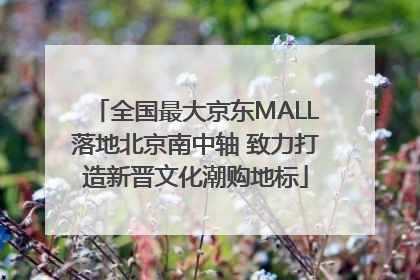 全国最大京东MALL落地北京南中轴 致力打造新晋文化潮购地标