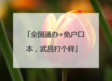 全国通办+免户口本，武昌打个样