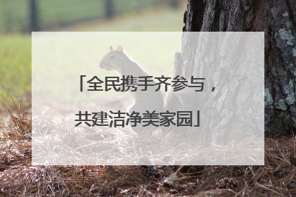 全民携手齐参与，共建洁净美家园