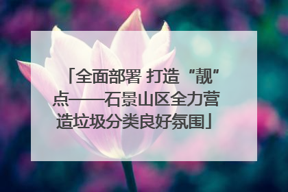 全面部署 打造“靓” 点——石景山区全力营造垃圾分类良好氛围