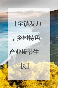 全链发力，乡村特色产业拔节生长