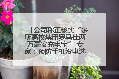 公司称正核实“多所高校禁用罗马仕两万毫安充电宝” 专家：预防手机没电选中等体积产品即可