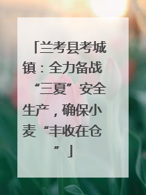 兰考县考城镇：全力备战“三夏”安全生产，确保小麦“丰收在仓”