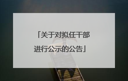 关于对拟任干部进行公示的公告