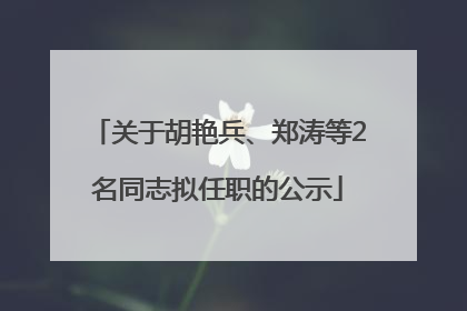 关于胡艳兵、郑涛等2名同志拟任职的公示