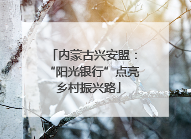 内蒙古兴安盟：“阳光银行”点亮乡村振兴路