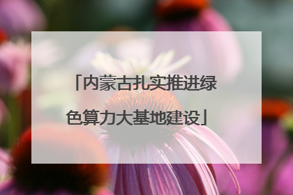 内蒙古扎实推进绿色算力大基地建设